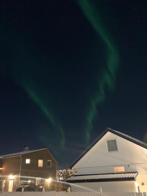 דירות טרומסה Fin Leilighet I Tromsdalen. מראה חיצוני תמונה
